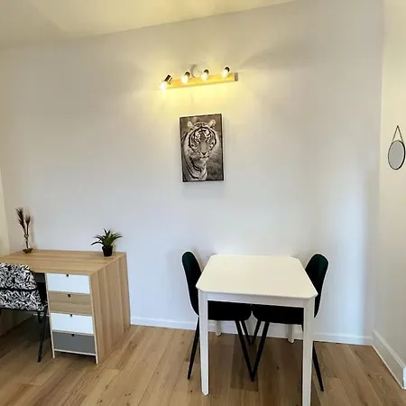 Nancy-place, 3g Clim, Thermal Et Campus Artem A 200m, 2 Pieces Apartament