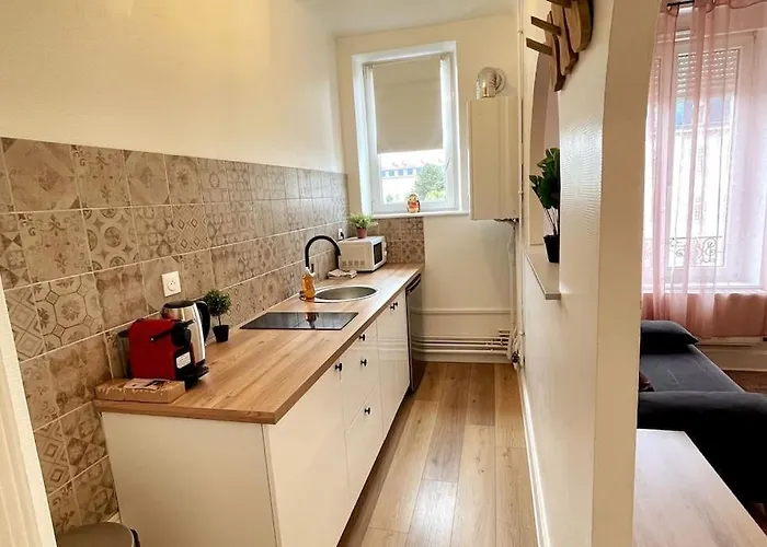 3g Clim + Thermal Et Campus Artem à 200m, 2 Pièces Nancy