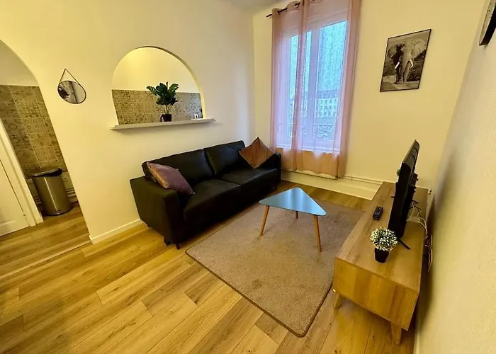 3g Clim + Thermal Et Campus Artem à 200m, 2 Pièces Nancy